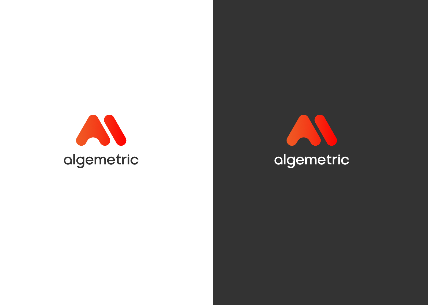 Algemetric 3